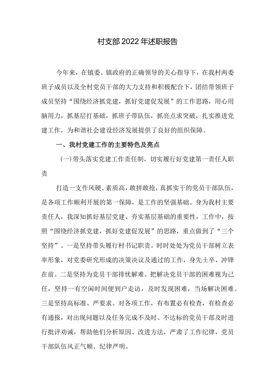 村支部2022年述职报告.docx_第1页