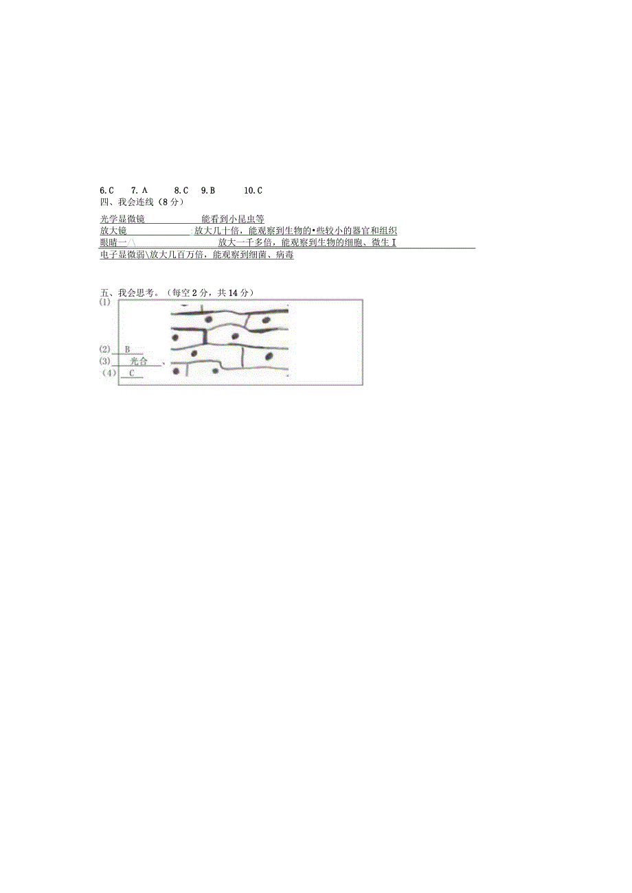 最新教科版小学六年级科学上册第一单元《微小世界》能力拓展培优提升检测试卷（附答案）.docx_第3页