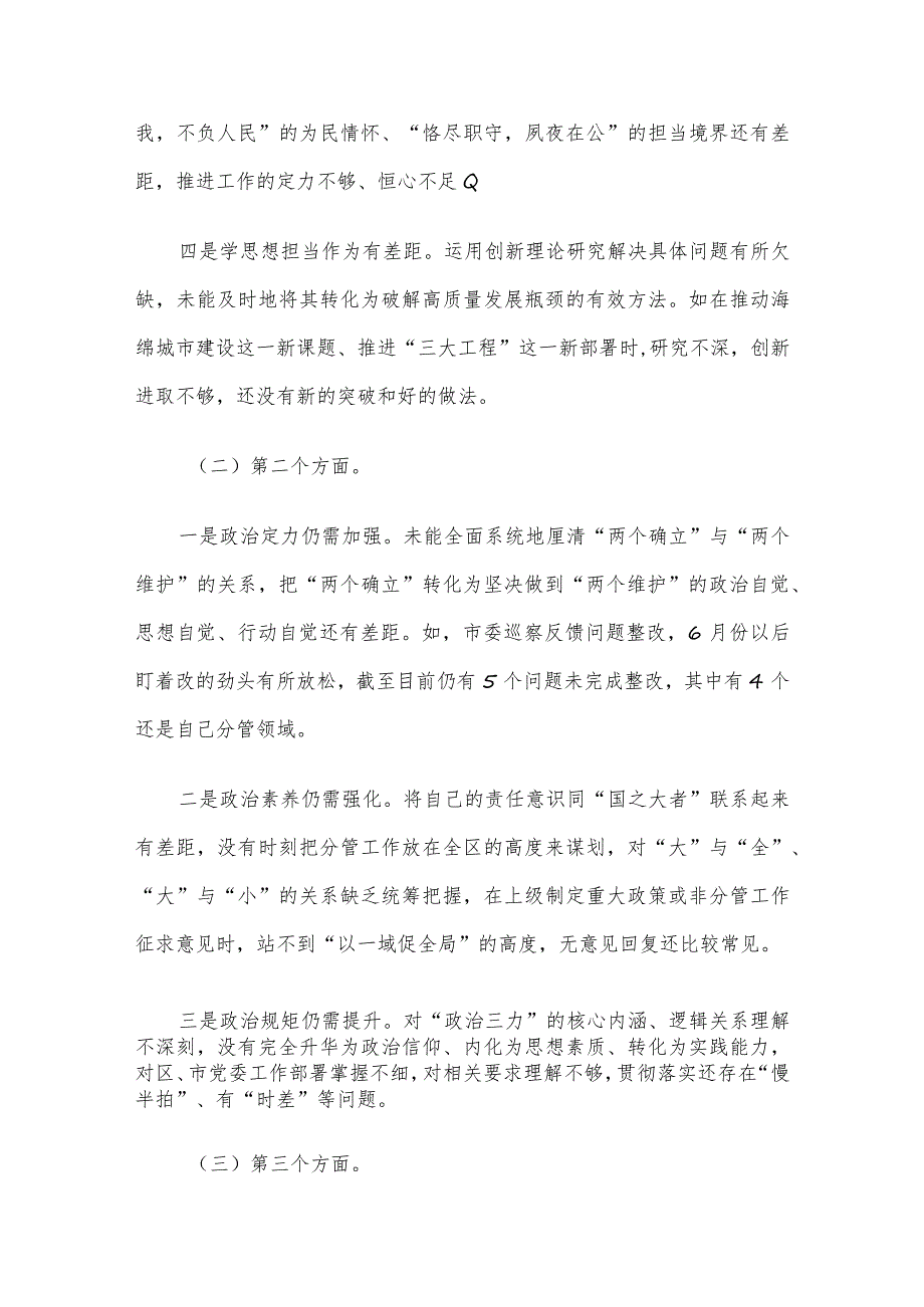 市局副职2023年主题教育专题民主生活会对照检查发言提纲.docx_第2页