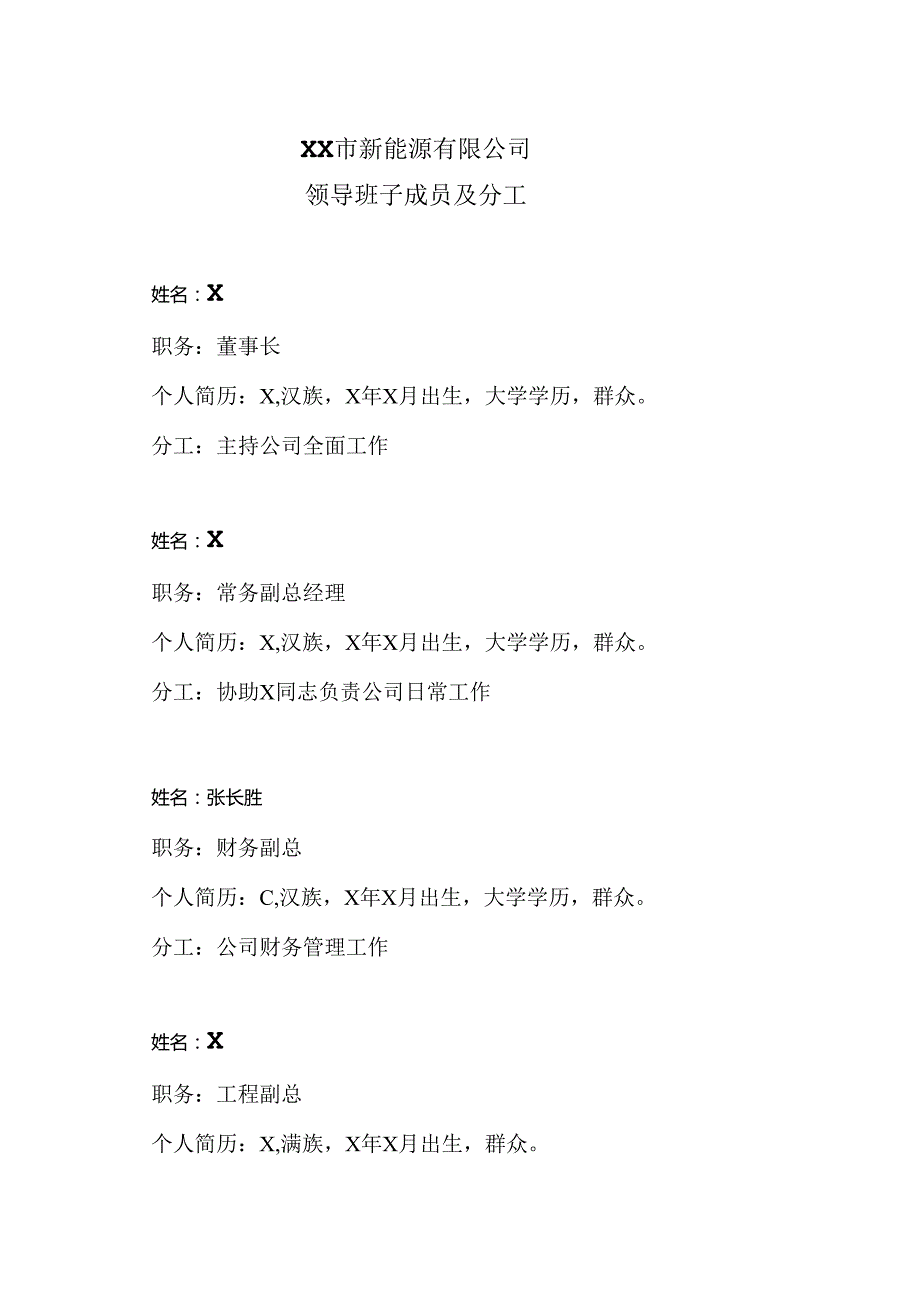 XX市新能源有限公司领导班子成员及分工（2024年）.docx_第1页