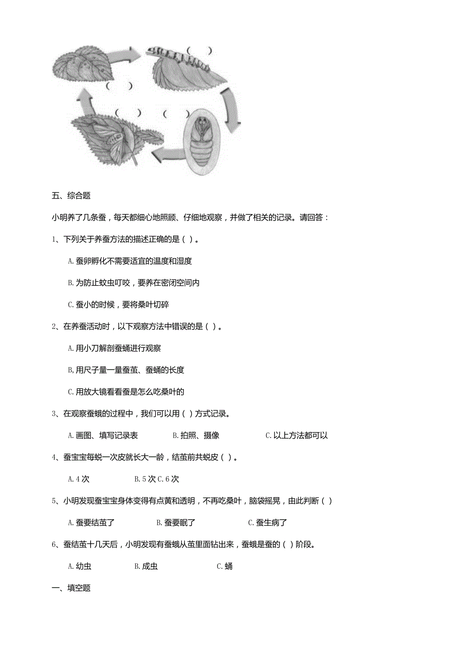 5-15《养蚕》练习（含答案）科学青岛版六三制四年级下册.docx_第2页