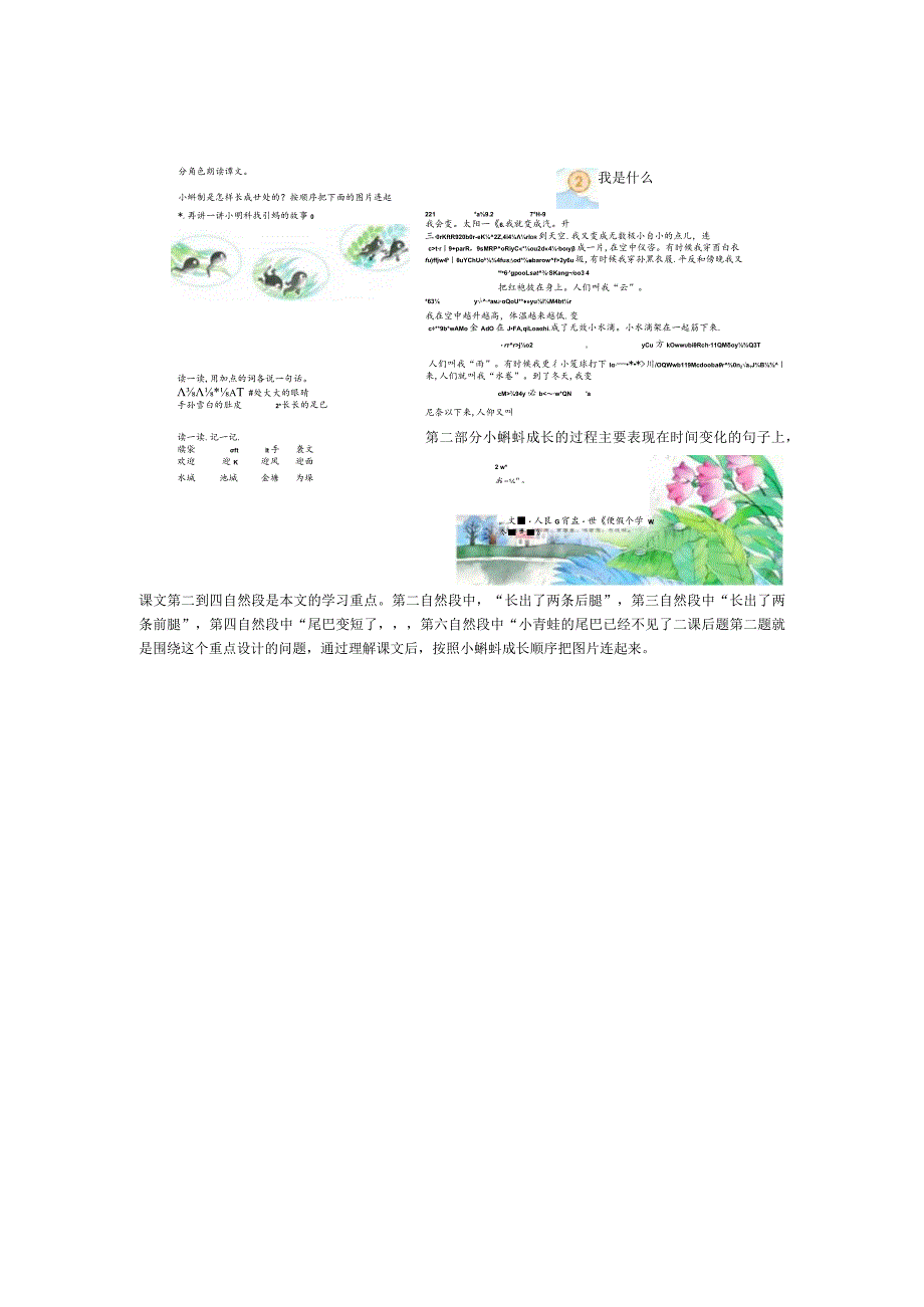 二年级上第一单元：学习主题大自然的秘密重点积累词语理解课文.docx_第3页