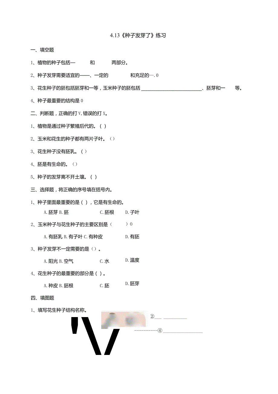 4-13《种子发芽了》练习（含答案）科学青岛版六三制三年级下册.docx_第1页