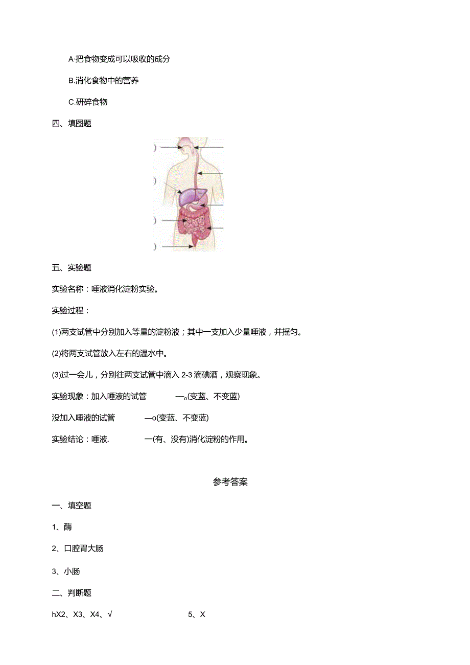 6-19《食物到哪里去了》练习（含答案）科学青岛版六三制三年级下册.docx_第2页