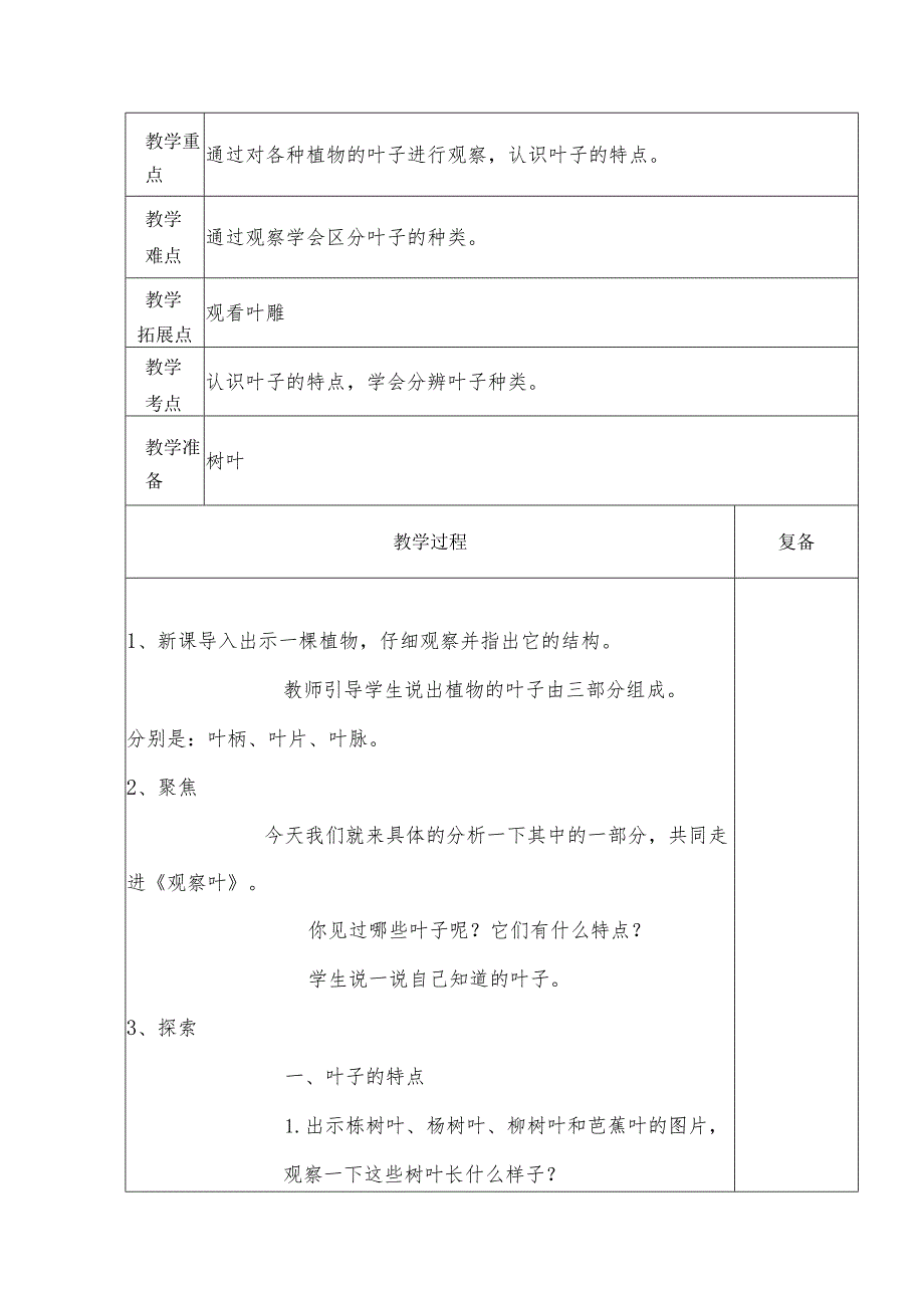 1.3观察叶（教案）-教科版科学一年级上册.docx_第2页