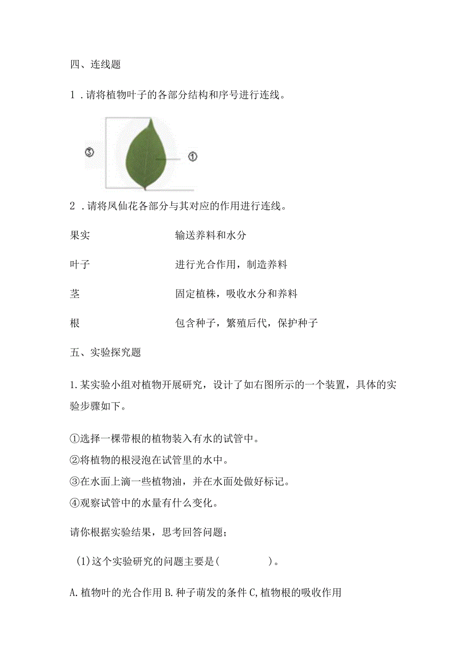 1-2幼苗长大了(练习)三年级科学下册(苏教版).docx_第3页