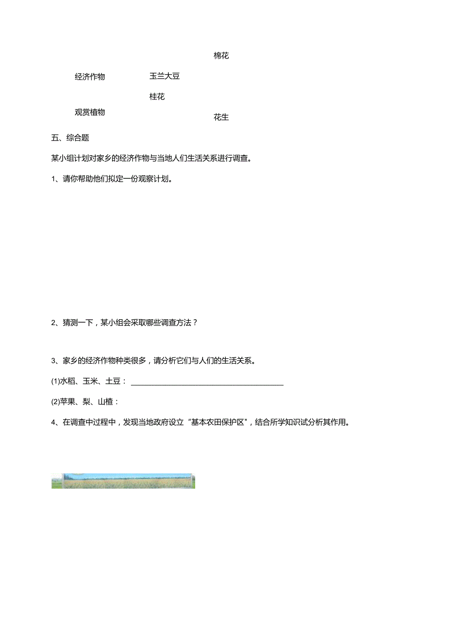 4-14《调查家乡植物》练习（含答案）科学青岛版六三制四年级下册.docx_第3页