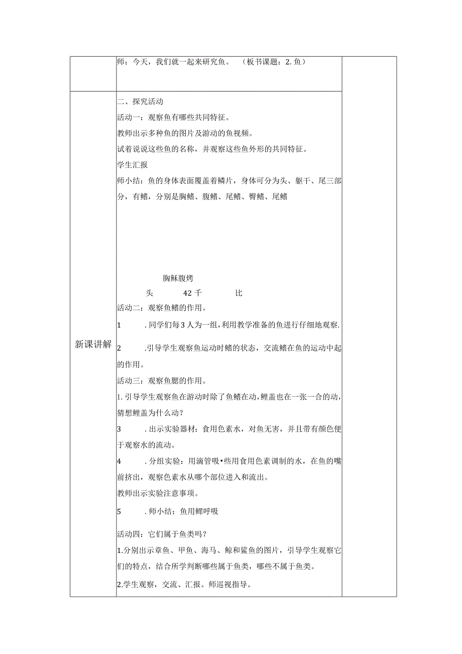 1-2鱼（教案）青岛版科学四年级上册.docx_第2页