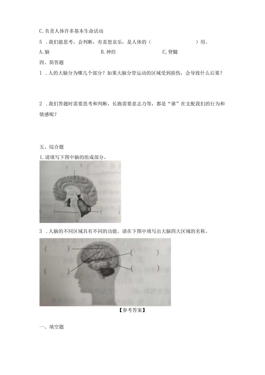 1-1我们的脑（练习）五年级科学下册（青岛版）.docx_第2页