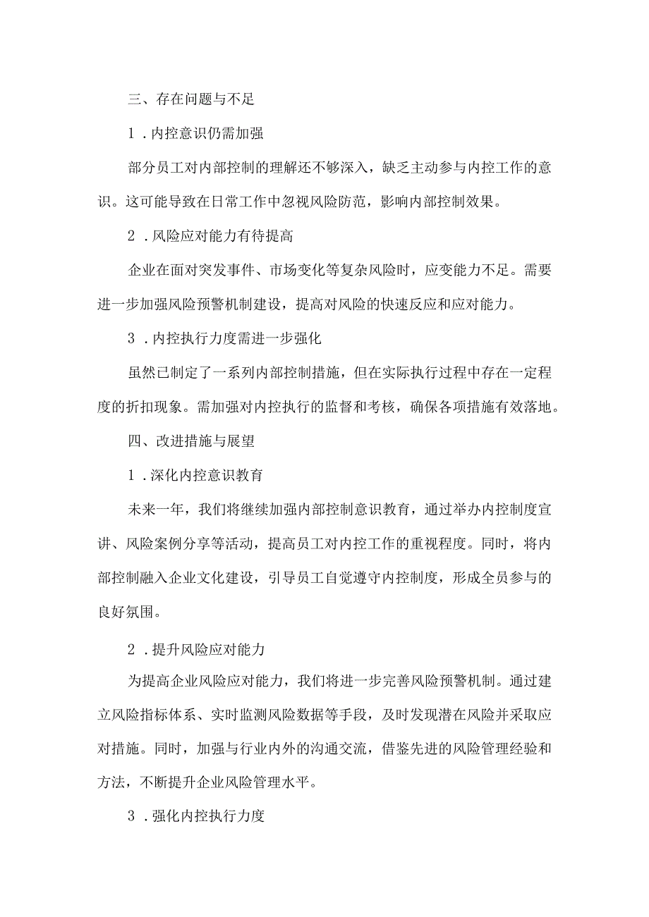 中央企业内控体系工作报告(模板).docx_第2页