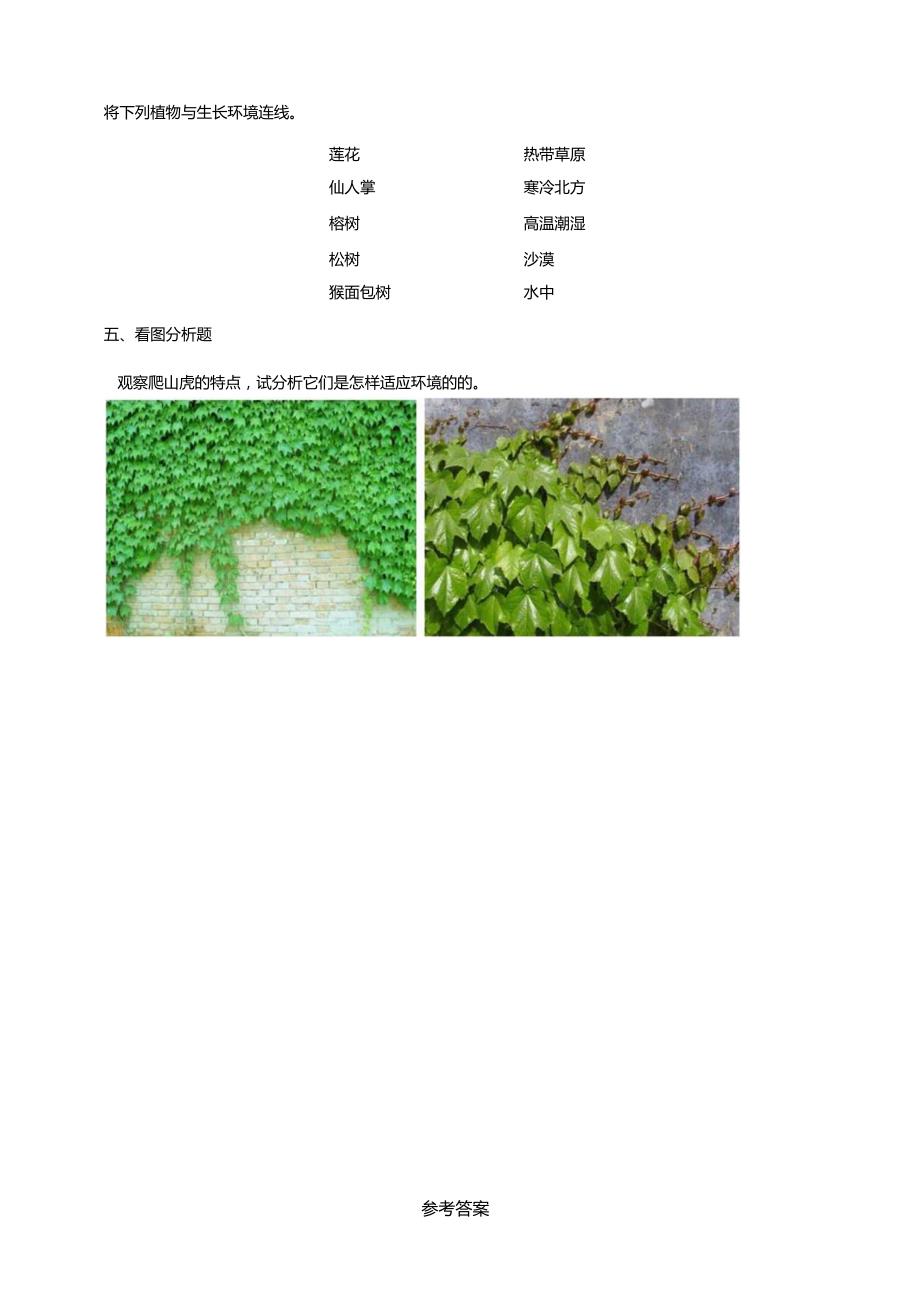 4-13《不同环境中的植物》练习（含答案）科学青岛版六三制四年级下册.docx_第3页