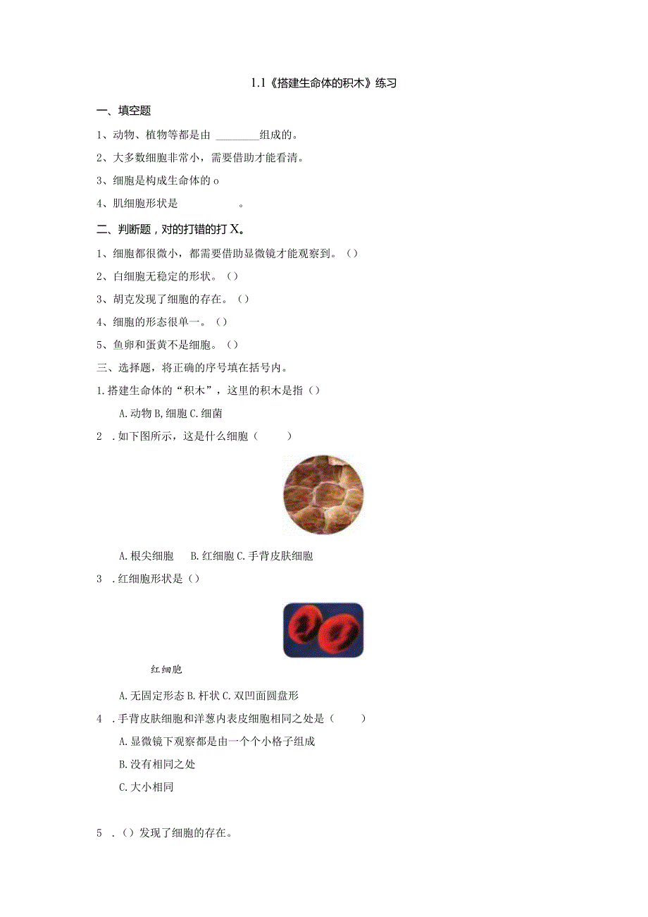 1-1搭建生命体的积木（练习）五年级科学下册（苏教版）.docx_第1页