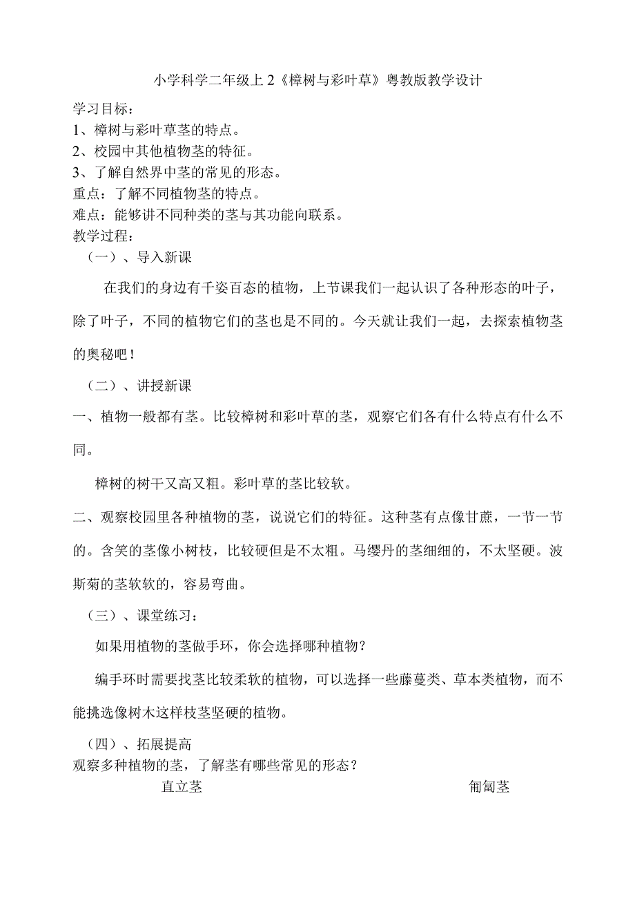 小学科学二年级上2《樟树与彩叶草》粤教版教学设计.docx_第1页