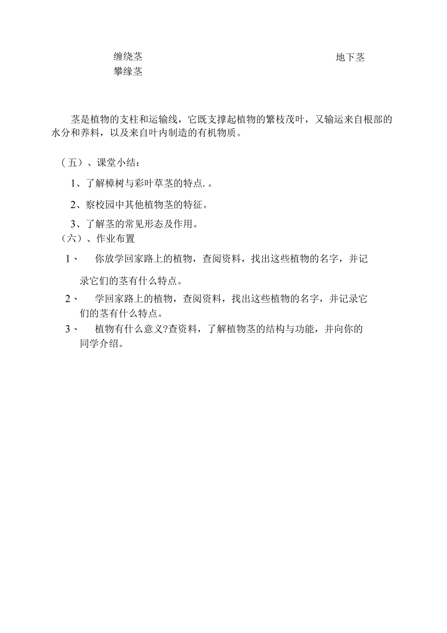 小学科学二年级上2《樟树与彩叶草》粤教版教学设计.docx_第2页