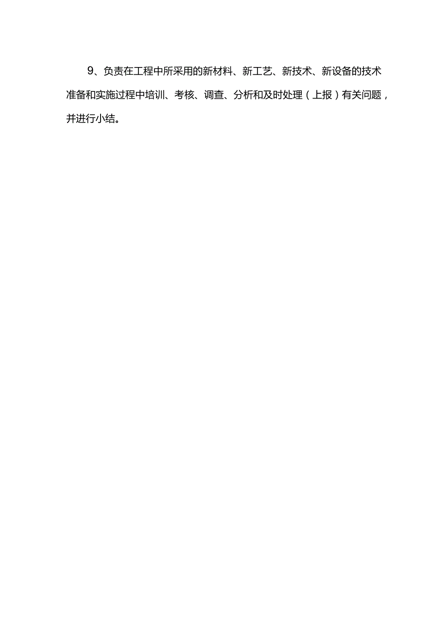 项目技术负责人职责.docx_第2页