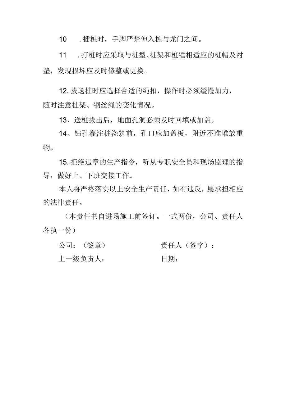 30.建筑施工企业打桩工安全生产责任书（2024版参考范本）.docx_第2页