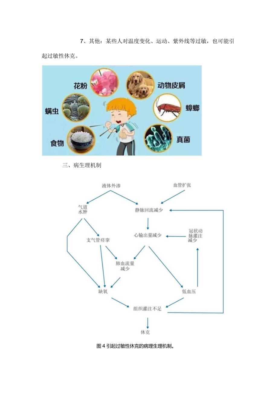 过敏性休克患者的紧急处置流程.docx_第2页