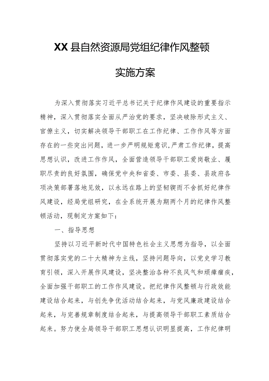 XX县自然资源局党组纪律作风整顿实施方案.docx_第1页