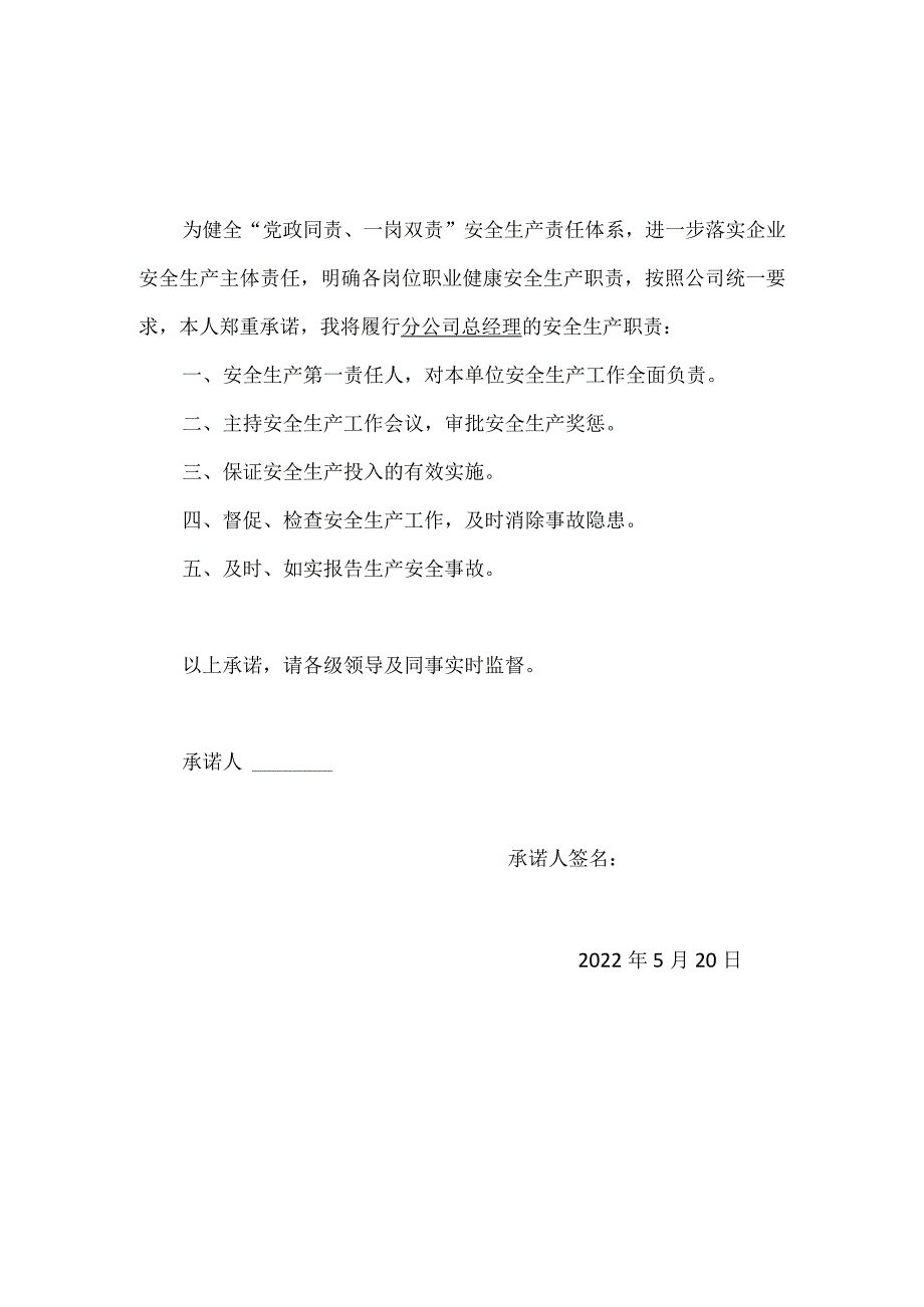 安全生产责任公开承诺书（分公司）.docx_第2页