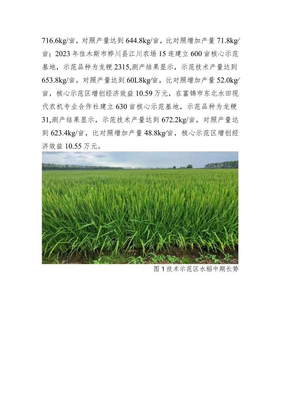 寒地水稻丰产提质节本增效栽培技术.docx_第3页