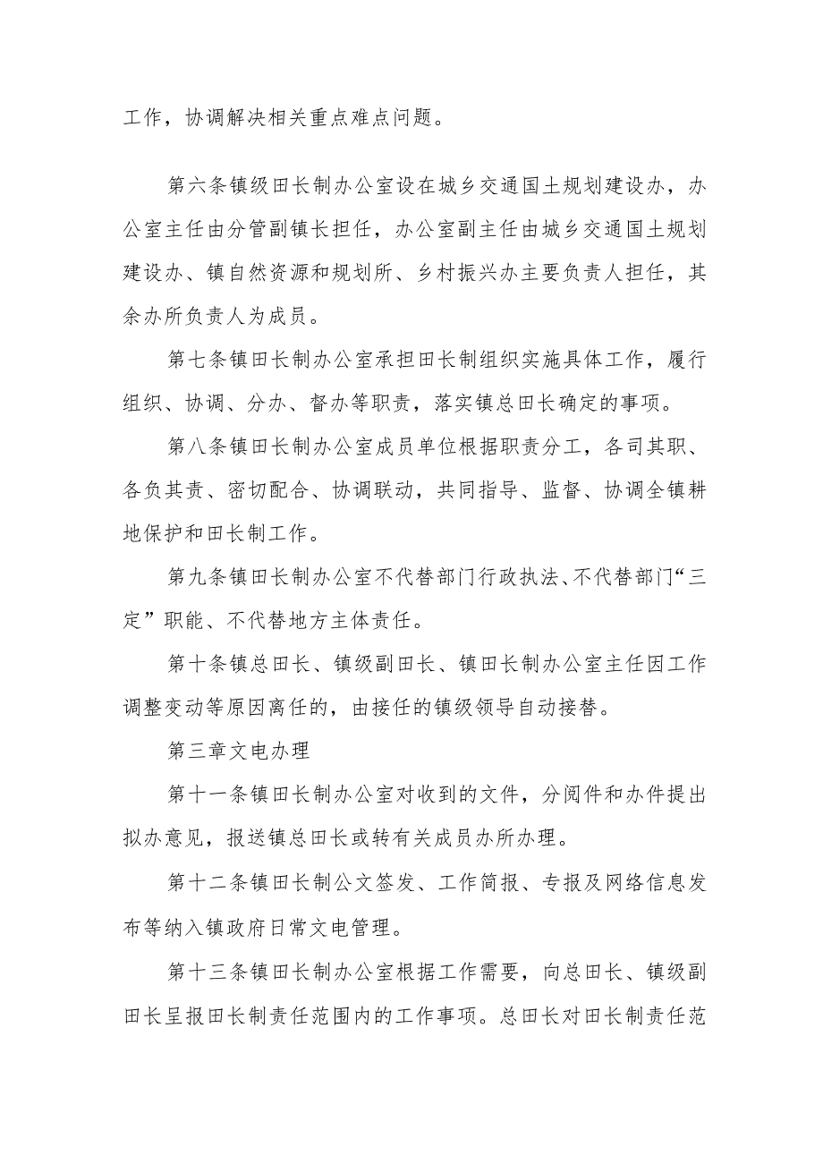 XX镇田长制运行规则（试行） 等三项制度.docx_第2页