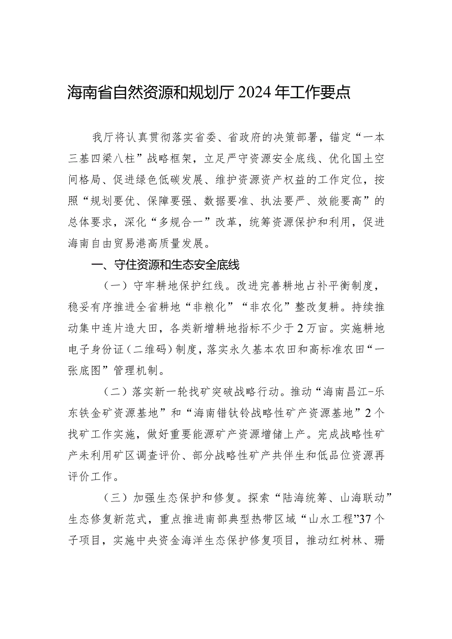 海南省自然资源和规划厅2024年工作要点(20240220).docx_第1页