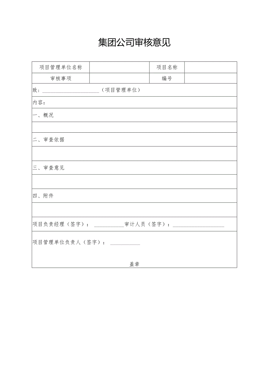 集团公司审核意见.docx_第1页