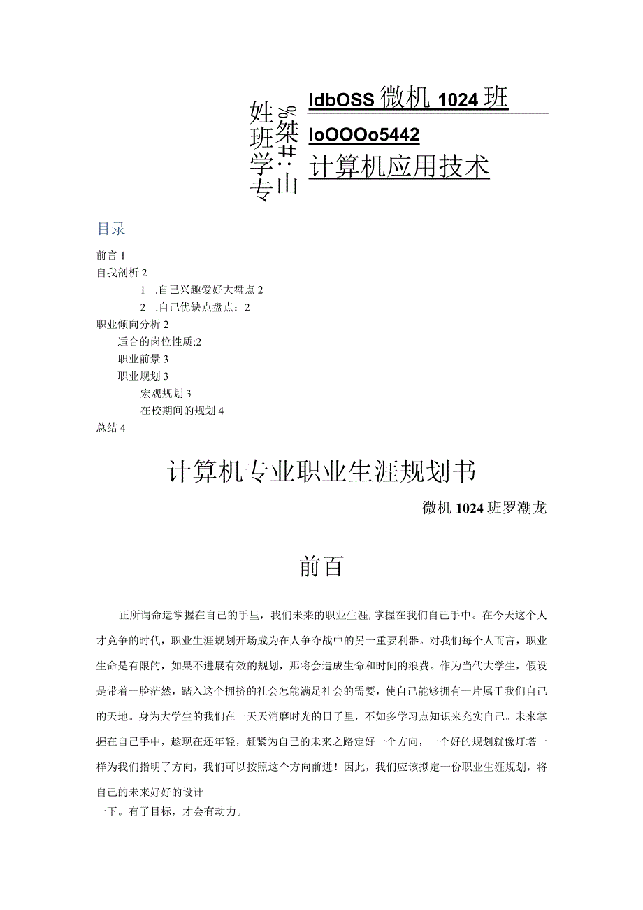 计算机专业职业生涯规划书.docx_第1页