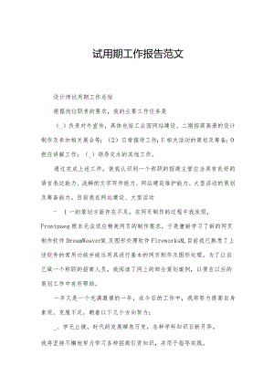 试用期工作报告范文.docx