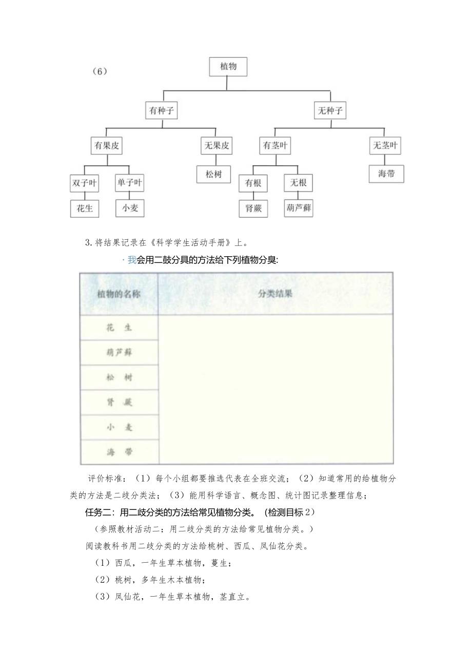 青岛版科学六年级下册第6课给植物分类学历案.docx_第3页