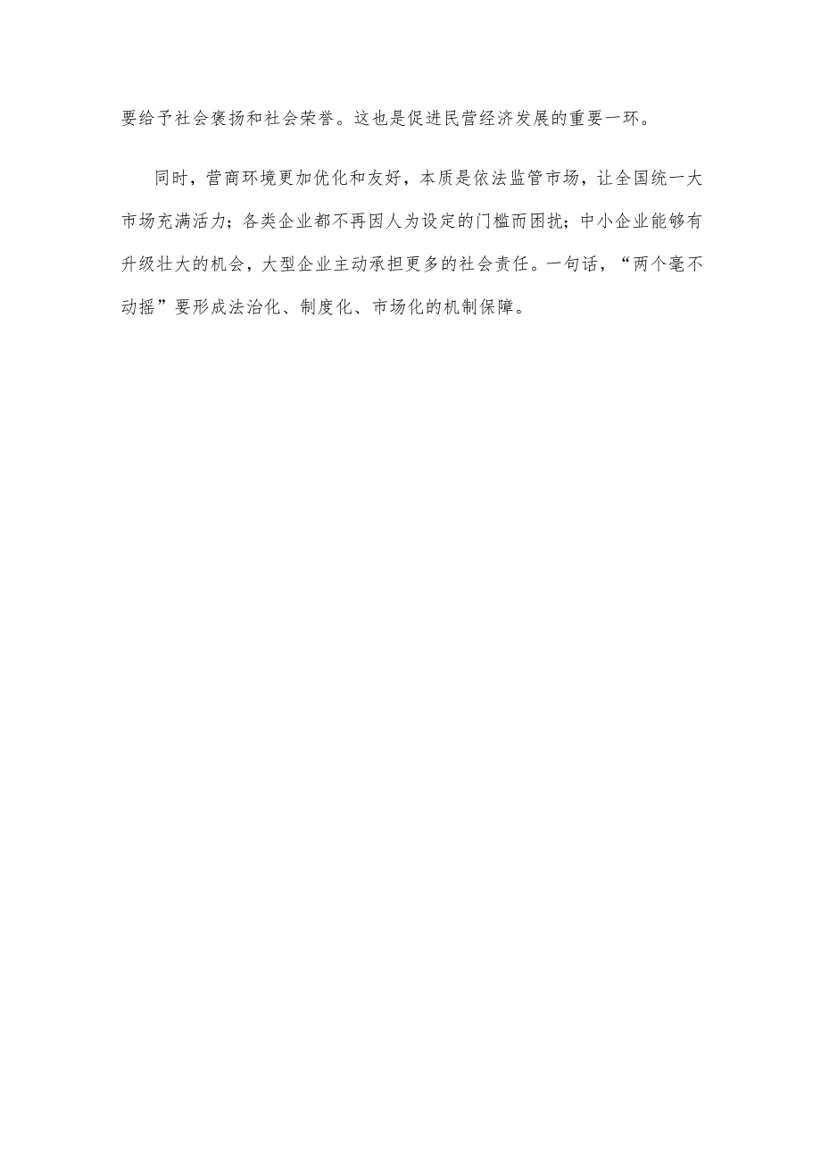 学习2024年政府工作报告贯彻落实“两个毫不动摇”心得体会.docx_第3页