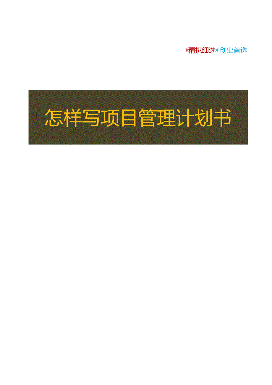 编写项目管理计划书的技巧.docx_第1页