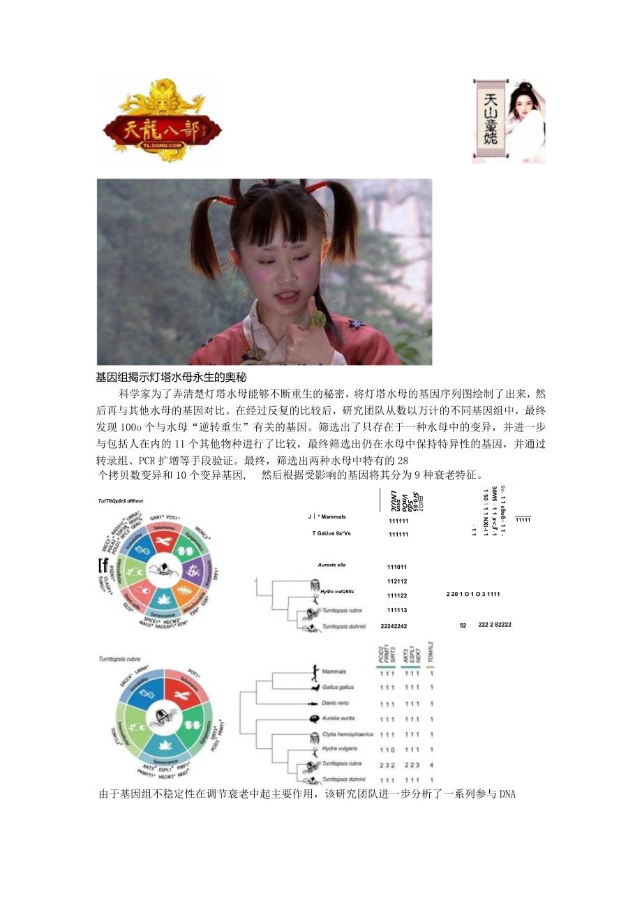 灯塔水母-长生不老水母.docx_第2页