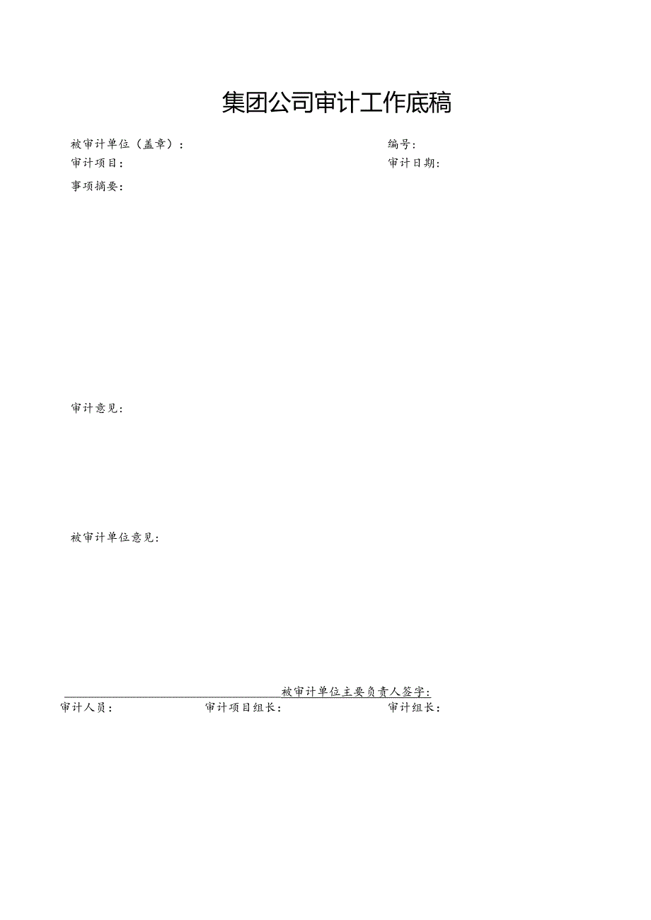 集团公司审计工作底稿.docx_第1页