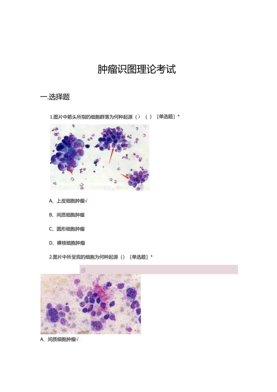 肿瘤识图理论专项考试试题及答案.docx_第1页