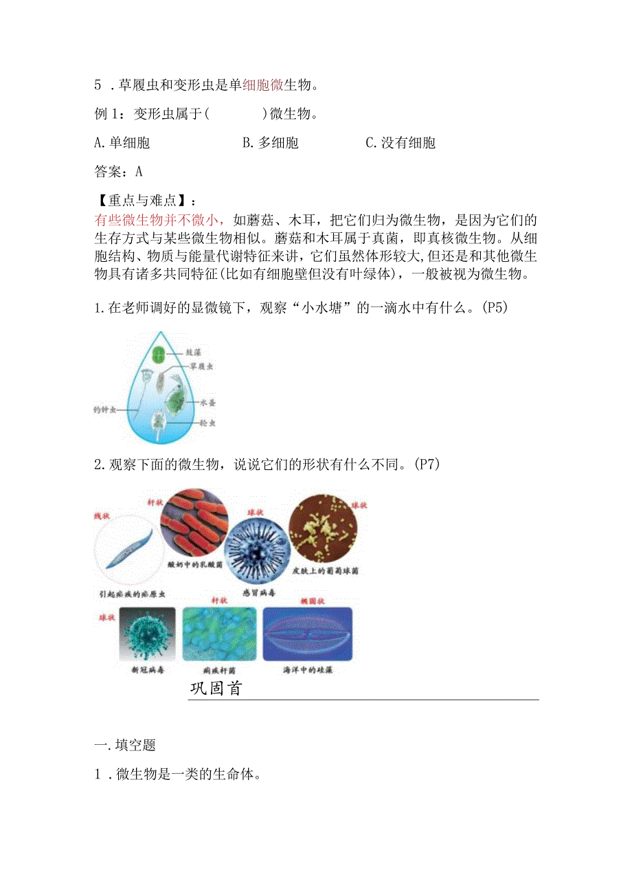 苏教版小学五年级科学下册《微小的生命体》自学练习题及答案.docx_第2页