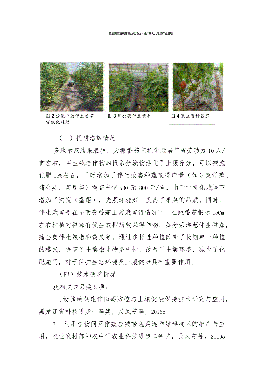 设施果菜宜机化多样性种植技术.docx_第3页