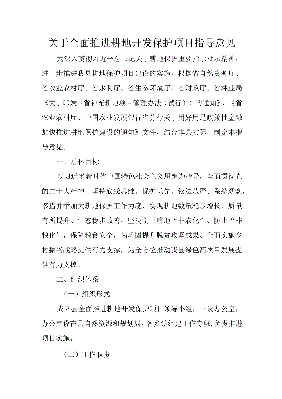 关于全面推进耕地开发保护项目指导意见.docx_第1页