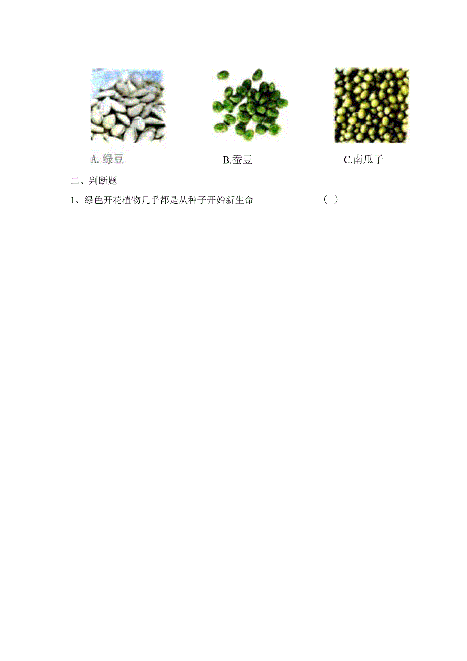 1-1 种子里孕育着新生命（习题）四年级下册科学 教科版.docx_第2页