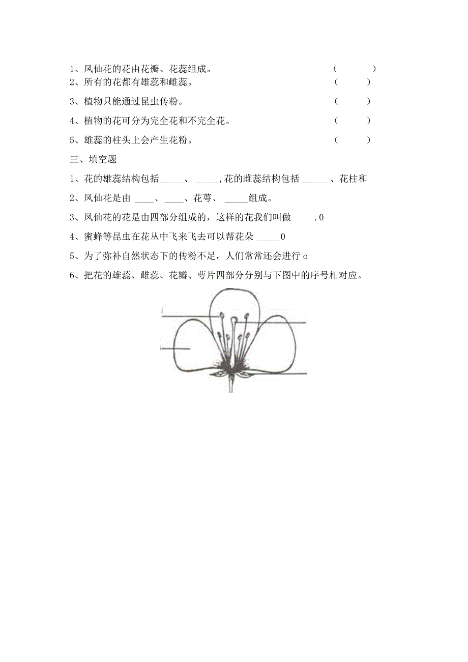 1-5 凤仙花开花了（习题）四年级下册科学 教科版.docx_第2页