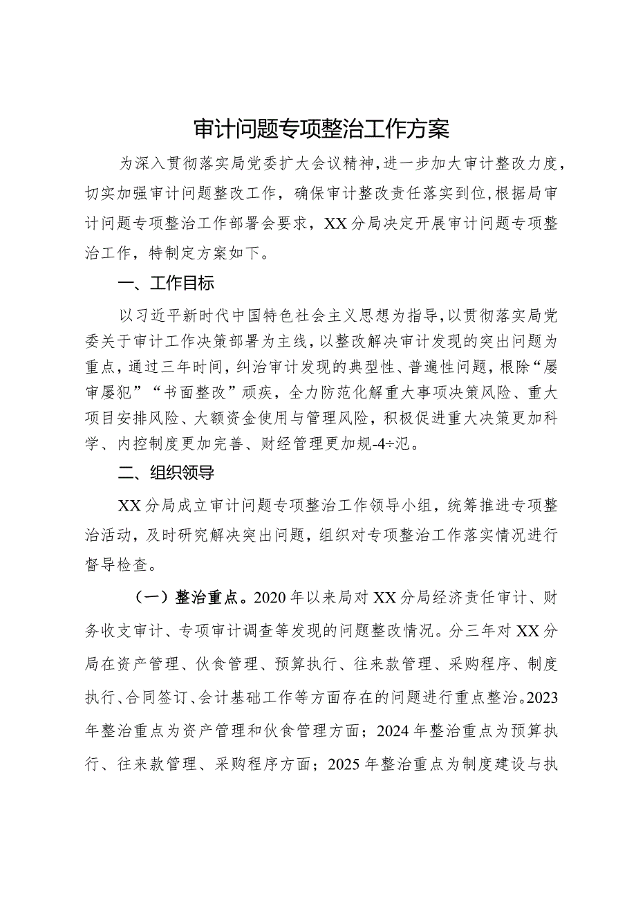 审计问题专项整治工作方案.docx_第1页