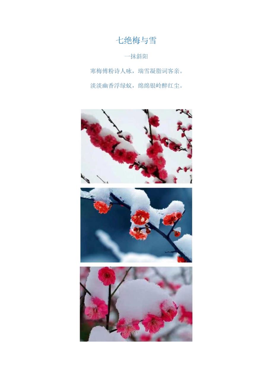 3185.七绝 梅与雪2024年2月21日.docx_第1页