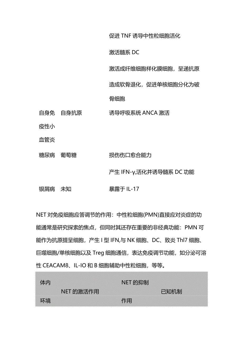 2024自免中性粒细胞NET作用异同.docx_第3页