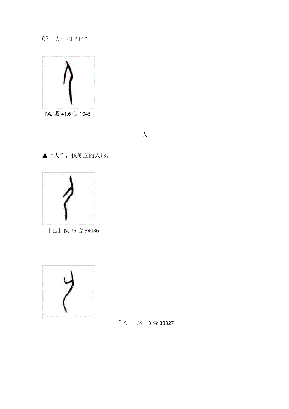 甲骨文中易混淆的字（上篇）.docx_第3页