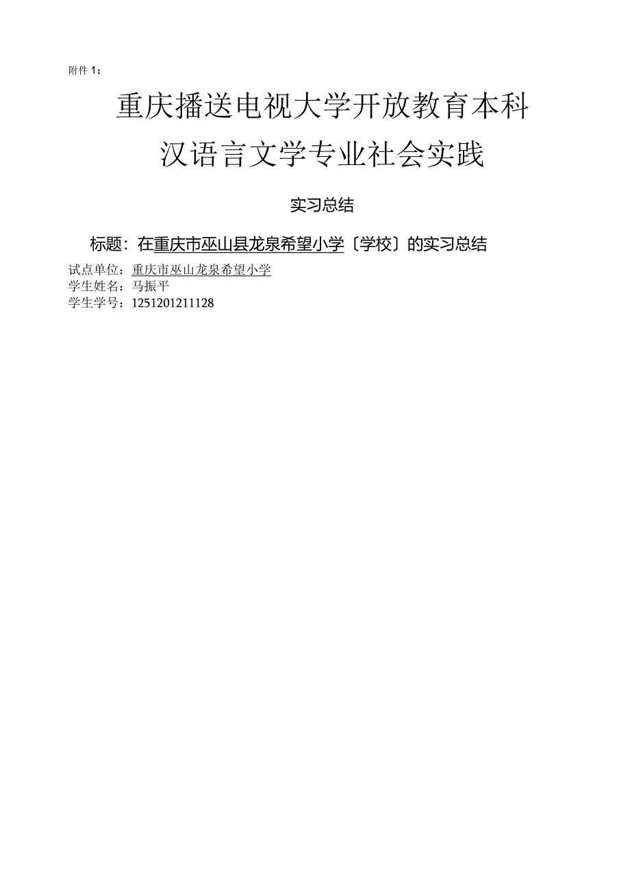 汉语言文学专业社会实践的报告.docx_第1页