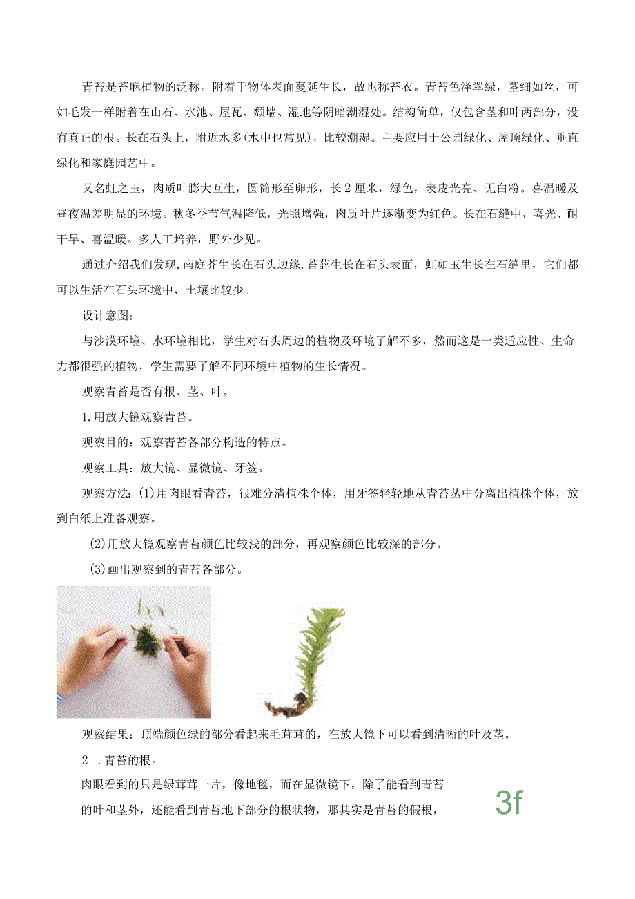 第8课 石头上的植物（教学设计）三年级科学下册（苏教版）.docx_第2页