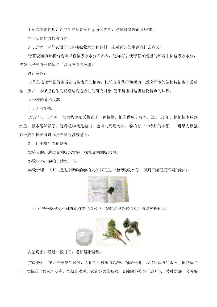 第8课 石头上的植物（教学设计）三年级科学下册（苏教版）.docx_第3页