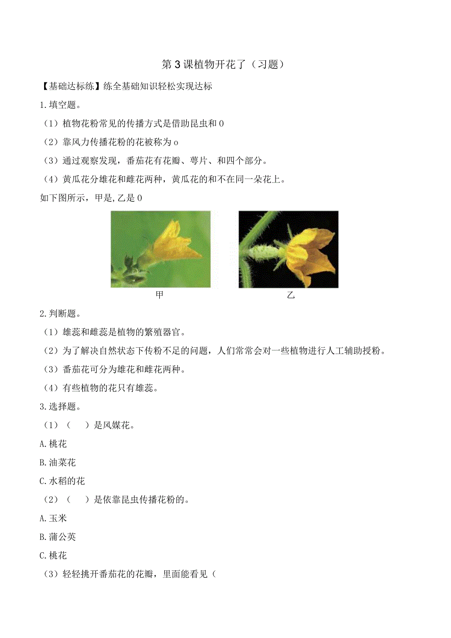 第3课 植物开花了（分层练习）三年级科学下册（苏教版）.docx_第1页