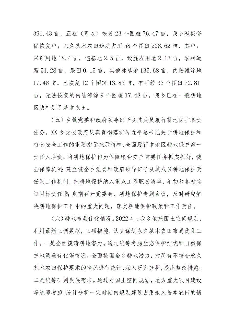 XX乡2022年度耕地保护责任目标“自考核”工作自查报告.docx_第2页