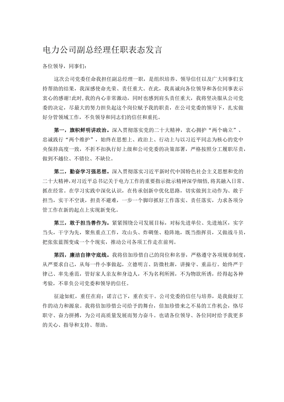 电力公司副总经理任职表态发言.docx_第1页